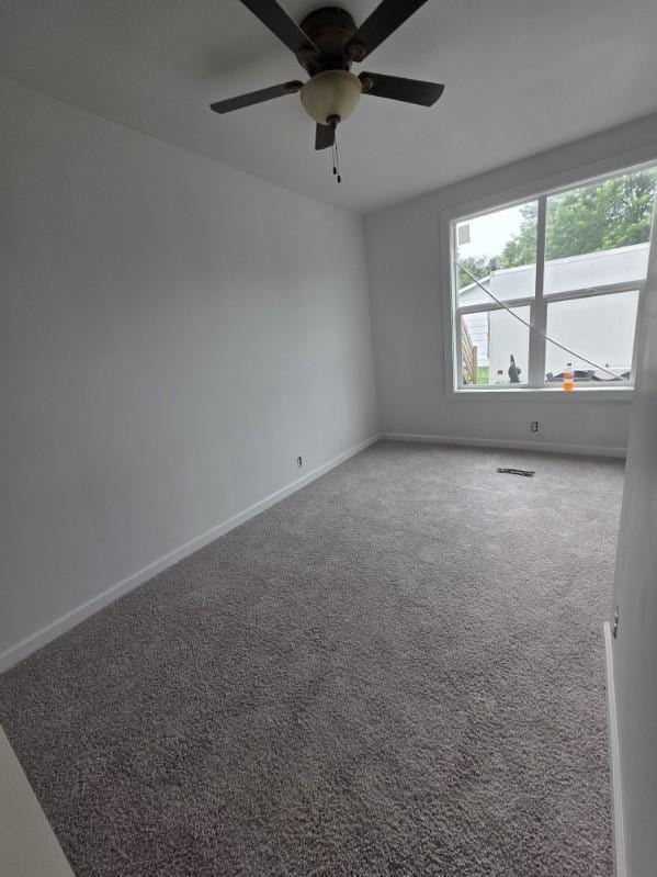 241 Webster St N, Kasota, MN 56050 - photo 13