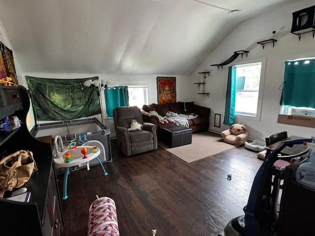 241 Webster St N, Kasota, MN 56050 - photo 21