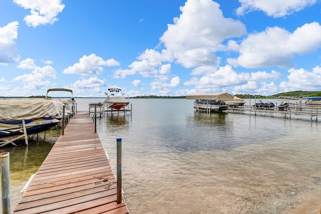 40816 Backroad Trl, Lida Twp, MN 56572 - photo 5