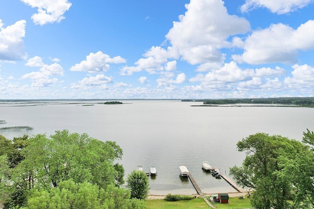 40816 Backroad Trl, Lida Twp, MN 56572 - photo 31