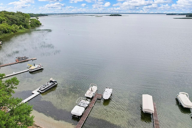 40816 Backroad Trl, Lida Twp, MN 56572 - photo 33