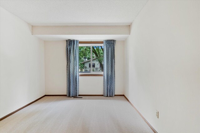 11304 Vessey Ave S, Bloomington, MN 55437 - photo 19