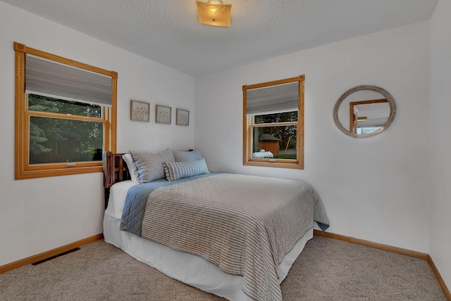 19408 Cedar Island Ct, Munson Twp, MN 56368 - photo 13