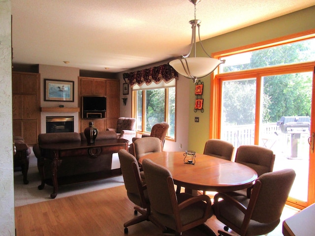 7040 Ximines Ln N, Maple Grove, MN 55369 - photo 10