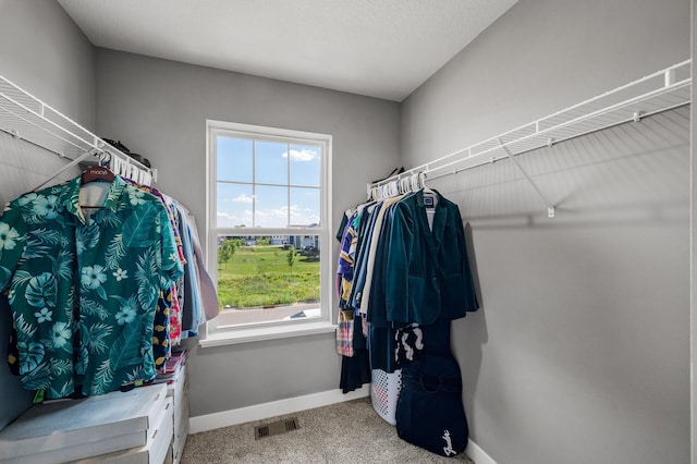 2961 126th Ave NE, Blaine, MN 55449 - photo 14
