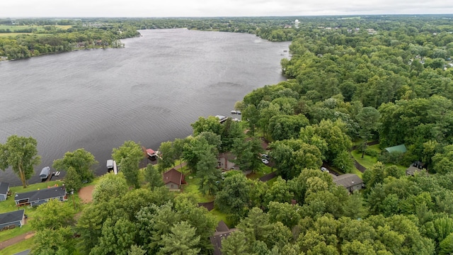 645 8th Ave NE, Pine City, MN 55063 - photo 41