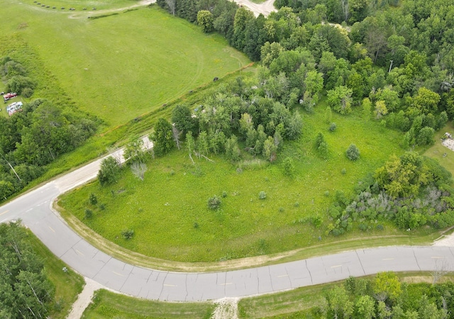 27908 Sunset Point Rd, Cohasset, MN 55721 - photo 4