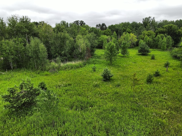 27908 Sunset Point Rd, Cohasset, MN 55721 - photo 9