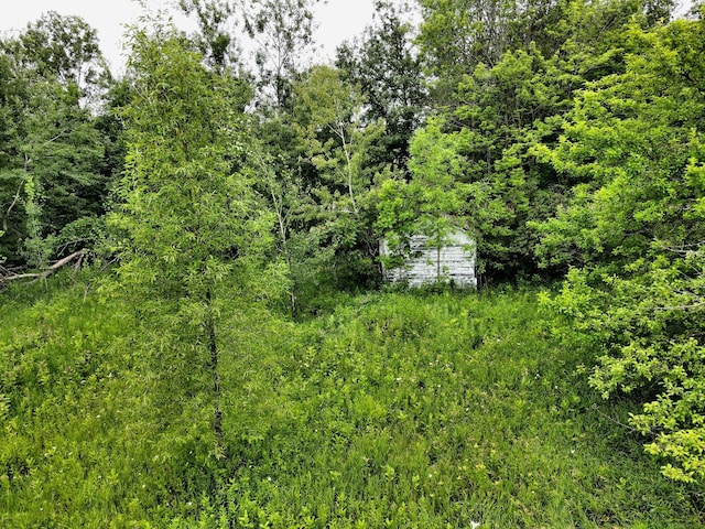 27908 Sunset Point Rd, Cohasset, MN 55721 - photo 12