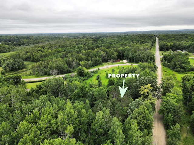 27908 Sunset Point Rd, Cohasset, MN 55721 - photo 13