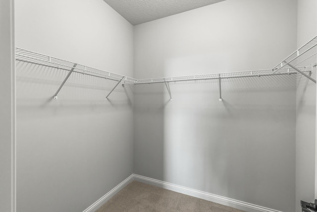 1703 Spruce St, Farmington, MN 55024 - photo 37