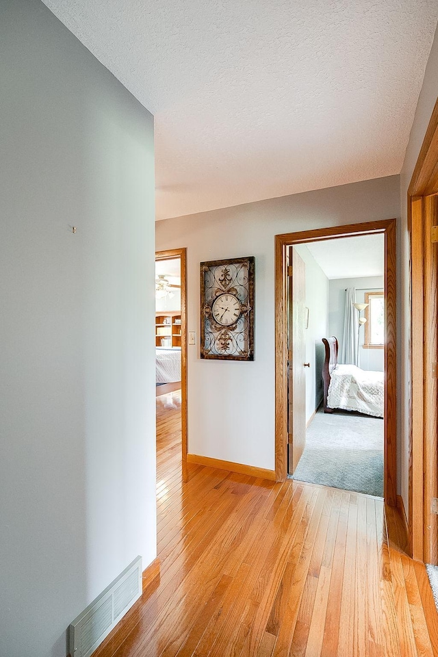 5281 217th St N, Forest Lake, MN 55025 - photo 38