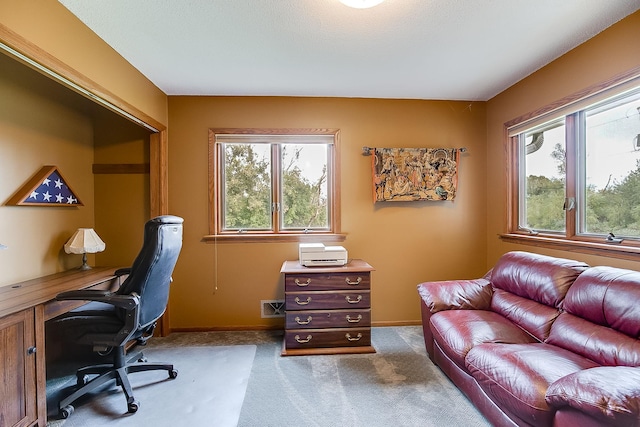 5281 217th St N, Forest Lake, MN 55025 - photo 47