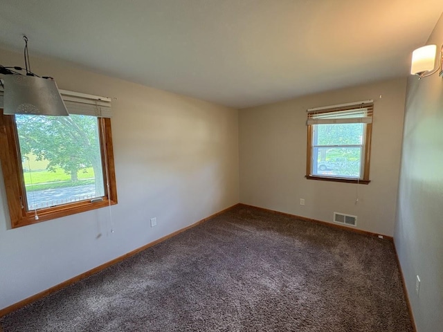 604 36th Ave NW, Rochester, MN 55901 - photo 8