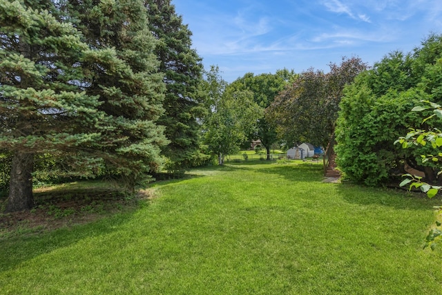 8240 Sumter Ave N, Brooklyn Park, MN 55445 - photo 19