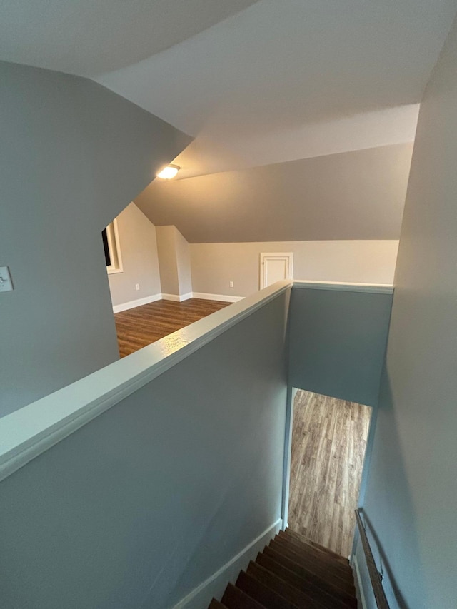 335 Crocker Ave N, Thief River Falls, MN 56701 - photo 23