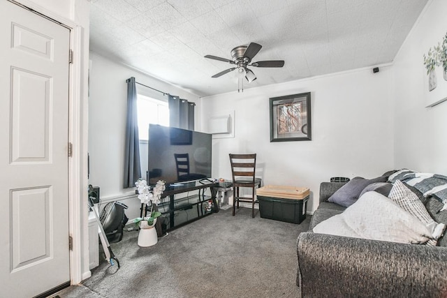 202 Main St E, Norwood Young America, MN 55397 - photo 5