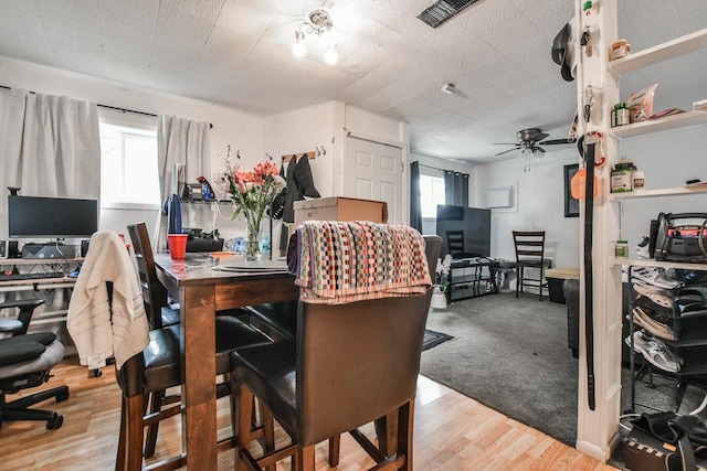202 Main St E, Norwood Young America, MN 55397 - photo 8
