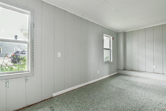 202 Main St E, Norwood Young America, MN 55397 - photo 29