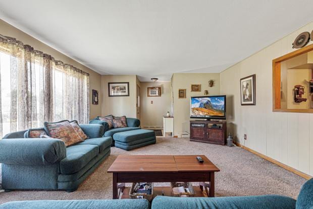 155 Hickory Ave NE, Montgomery, MN 56069 - photo 7
