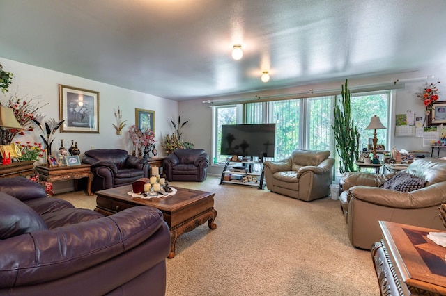 1225 Mount Faith Ave, Fergus Falls, MN 56537 - photo 41