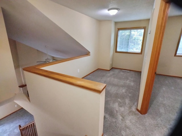 9959 Fillmore St NE, Blaine, MN 55434 - photo 9