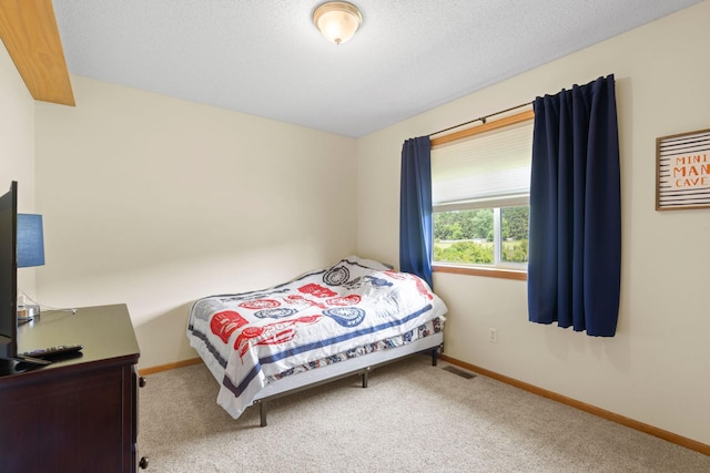 22381 Jenkins St NE, East Bethel, MN 55005 - photo 24