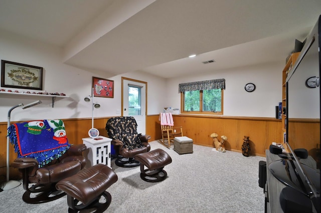 912 9th St NE, Little Falls, MN 56345 - photo 22