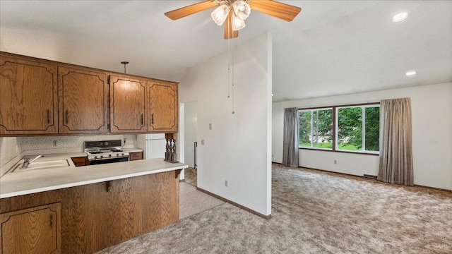 445 Clover Leaf Pkwy NE, Blaine, MN 55434 - photo 6