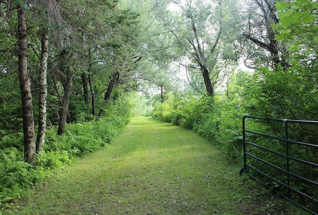 1352 School Rd, Dairyland, WI 54830 - photo 2