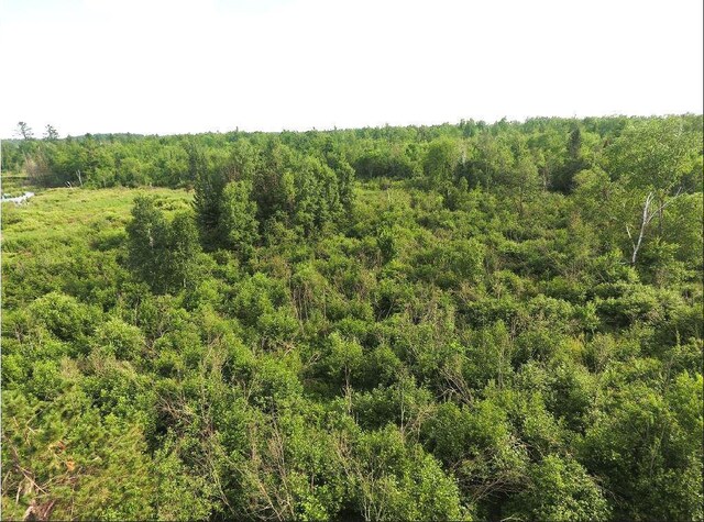 1352 School Rd, Dairyland, WI 54830 - photo 10