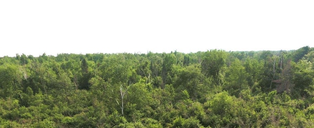 1352 School Rd, Dairyland, WI 54830 - photo 12