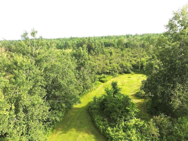 1352 School Rd, Dairyland, WI 54830 - photo 13