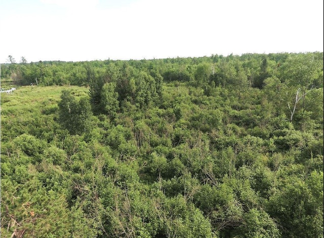 1352 School Rd, Dairyland, WI 54830 - photo 14