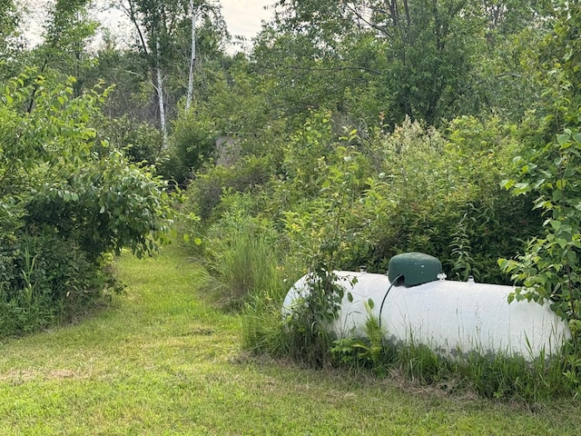 1352 School Rd, Dairyland, WI 54830 - photo 23