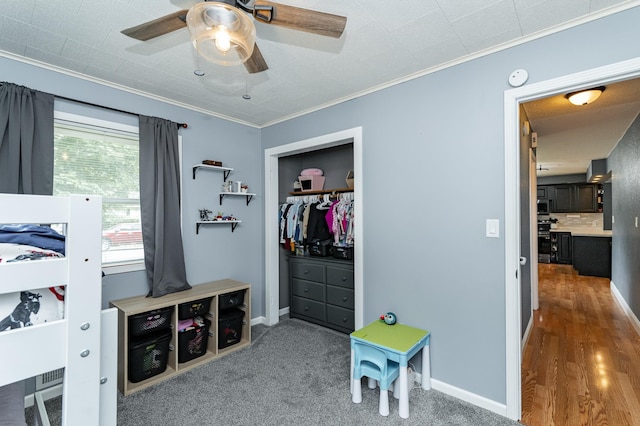 213 Division St NE, Chatfield, MN 55923 - photo 23
