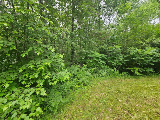 20279 Carlson Rd, Irondale Twp, MN 56455 - photo 16