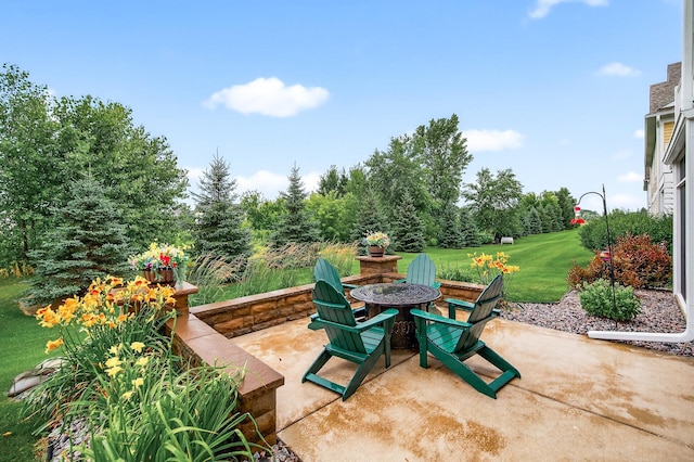 1427 Palisade Path, Woodbury, MN 55129 - photo 4
