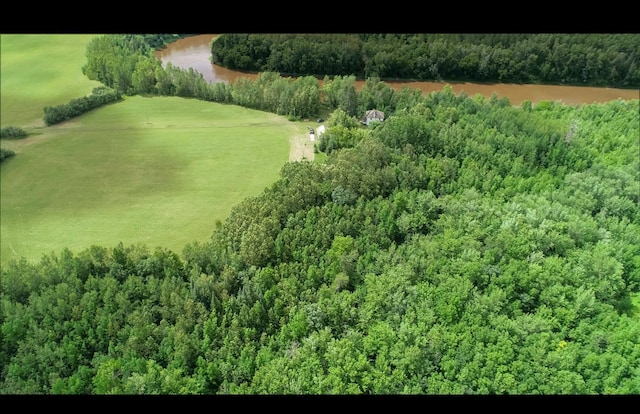 4049 County Road 79, International Falls, MN 56653 - photo 6