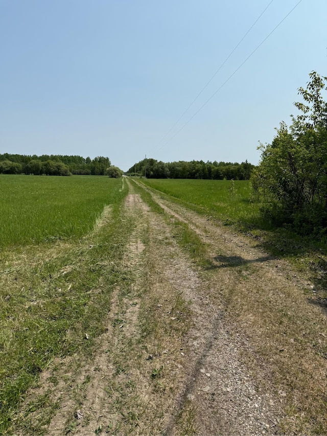 4049 County Road 79, International Falls, MN 56653 - photo 8