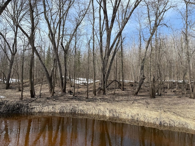 4049 County Road 79, International Falls, MN 56653 - photo 9
