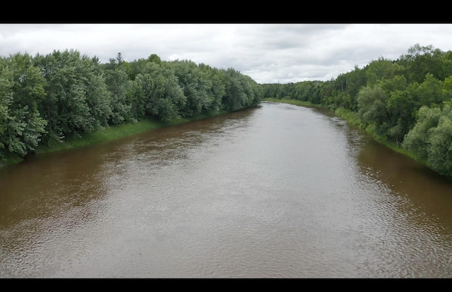 4049 County Road 79, International Falls, MN 56653 - photo 10