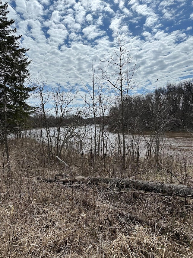 4049 County Road 79, International Falls, MN 56653 - photo 11