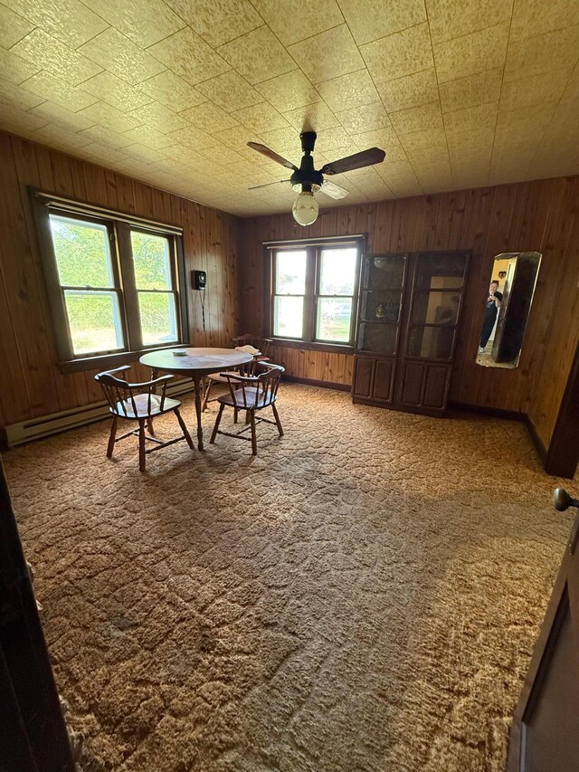 4049 County Road 79, International Falls, MN 56653 - photo 26