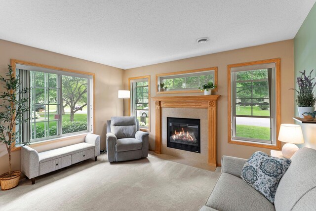 15425 Tungsten Way NW, Ramsey, MN 55303 - photo 9