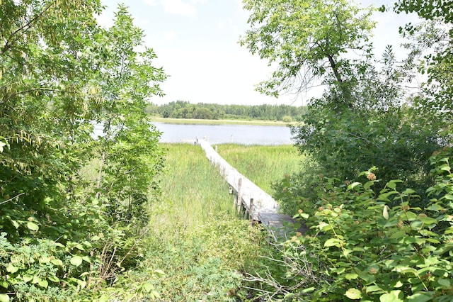 1824 State Highway 11 SE, Gudrid Twp, MN 56623 - photo 5