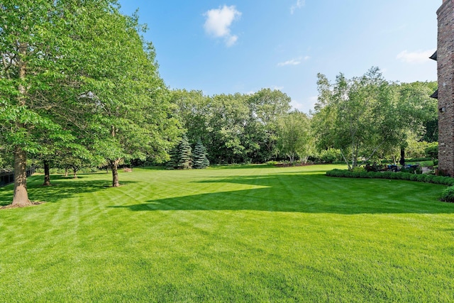 9921 Deerbrook Dr, Chanhassen, MN 55317 - photo 83