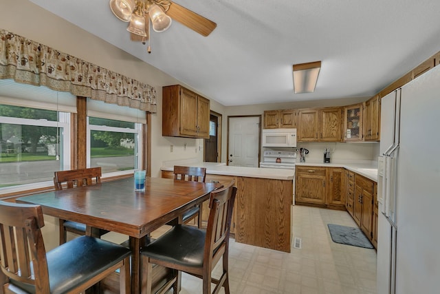 460 8th St, Bird Island, MN 55310 - photo 4