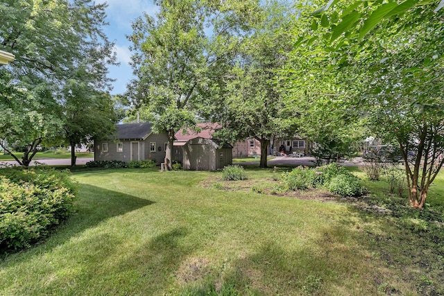 460 8th St, Bird Island, MN 55310 - photo 24