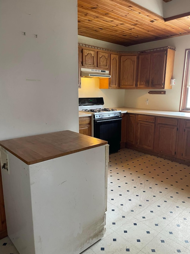 607 Clark St, Albert Lea, MN 56007 - photo 4